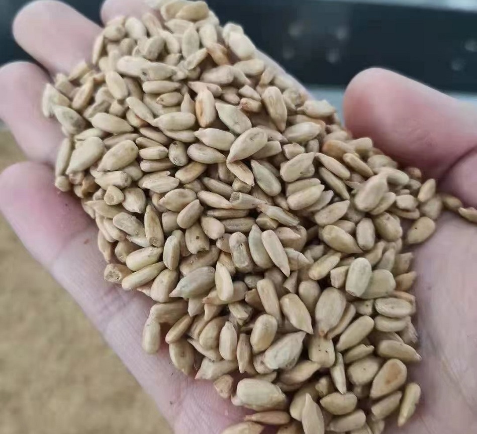 電磁炒貨機炒瓜子