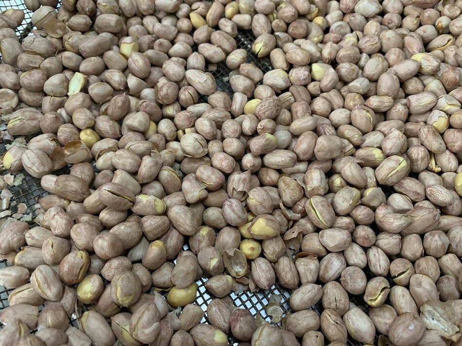 許昌智工炒貨機