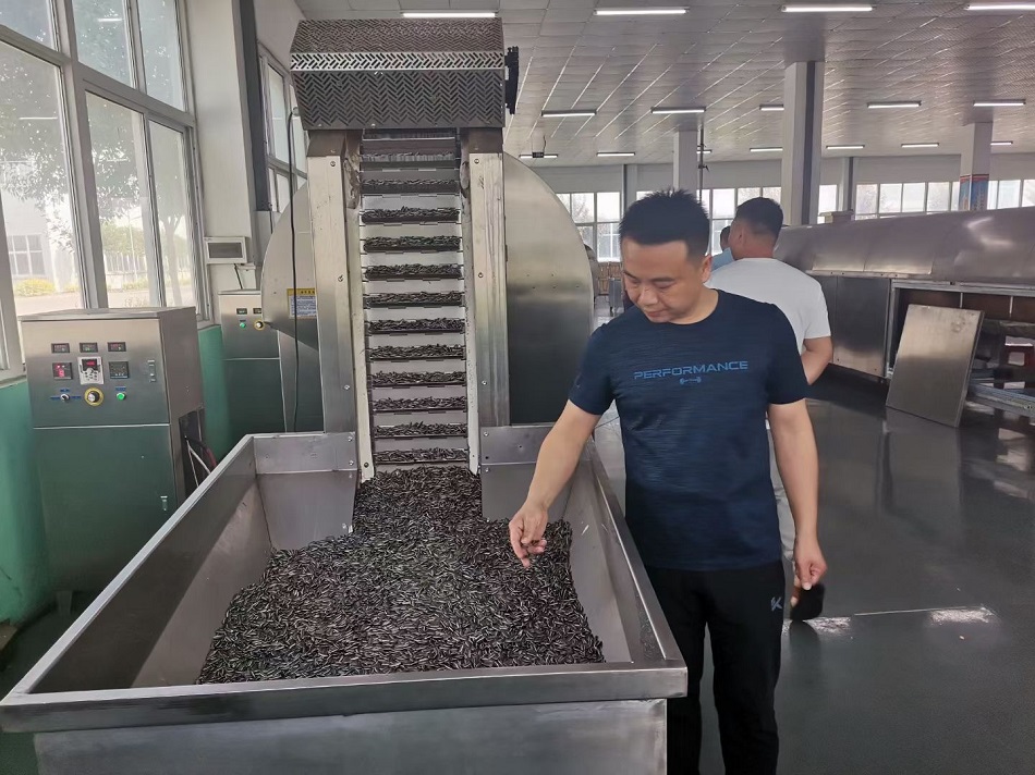 大型炒貨機(jī)