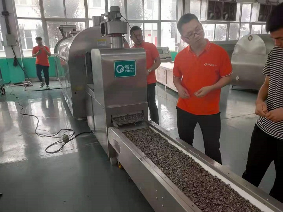 流水線炒貨機(jī)