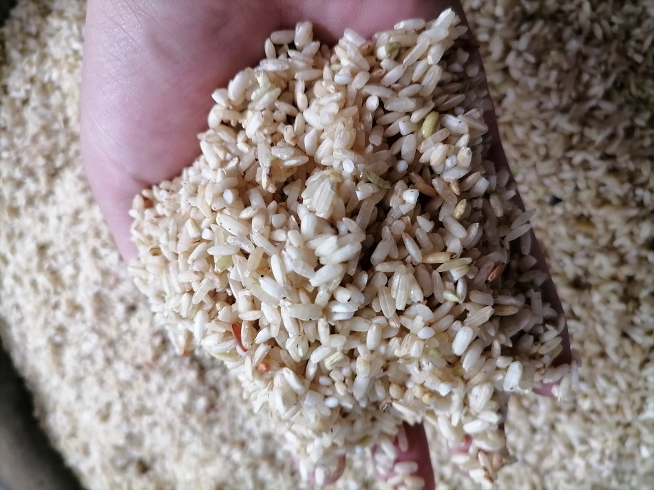 許昌智工電磁炒貨機