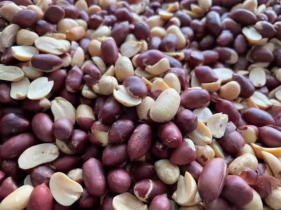 許昌智工炒貨機