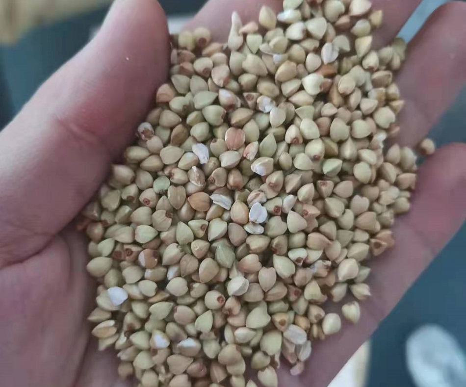 許昌智工電磁炒貨機