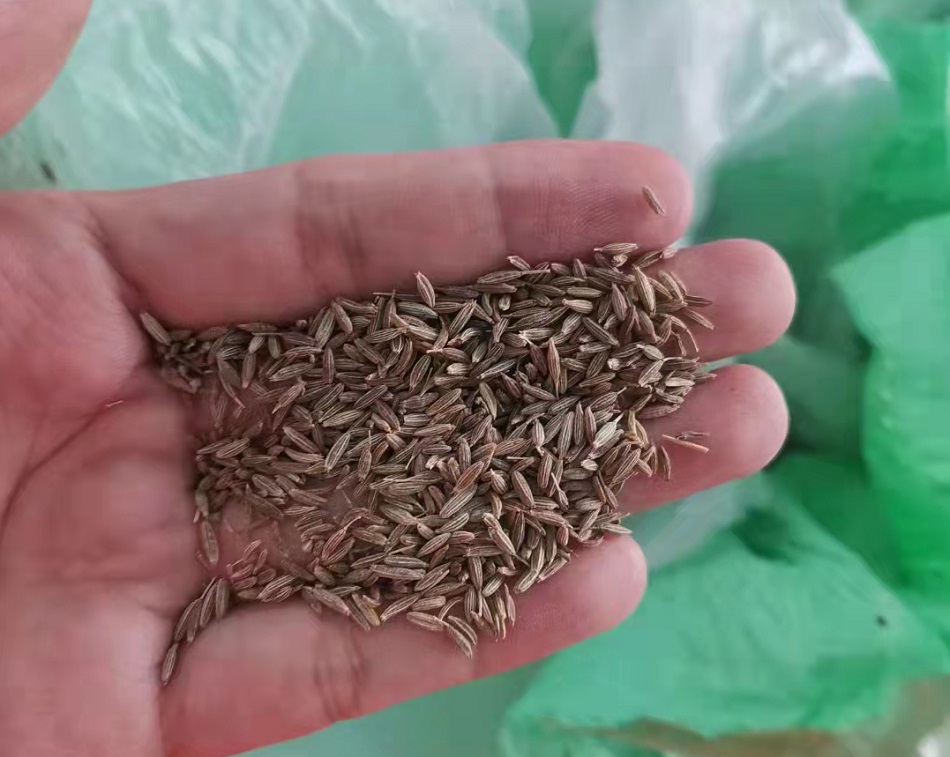 電磁流水線炒貨機