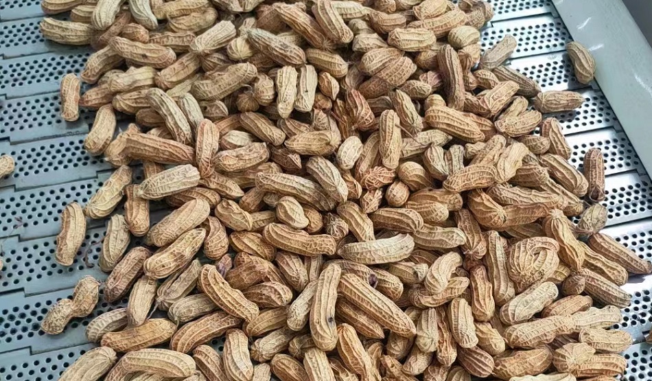 流水線炒花生果機