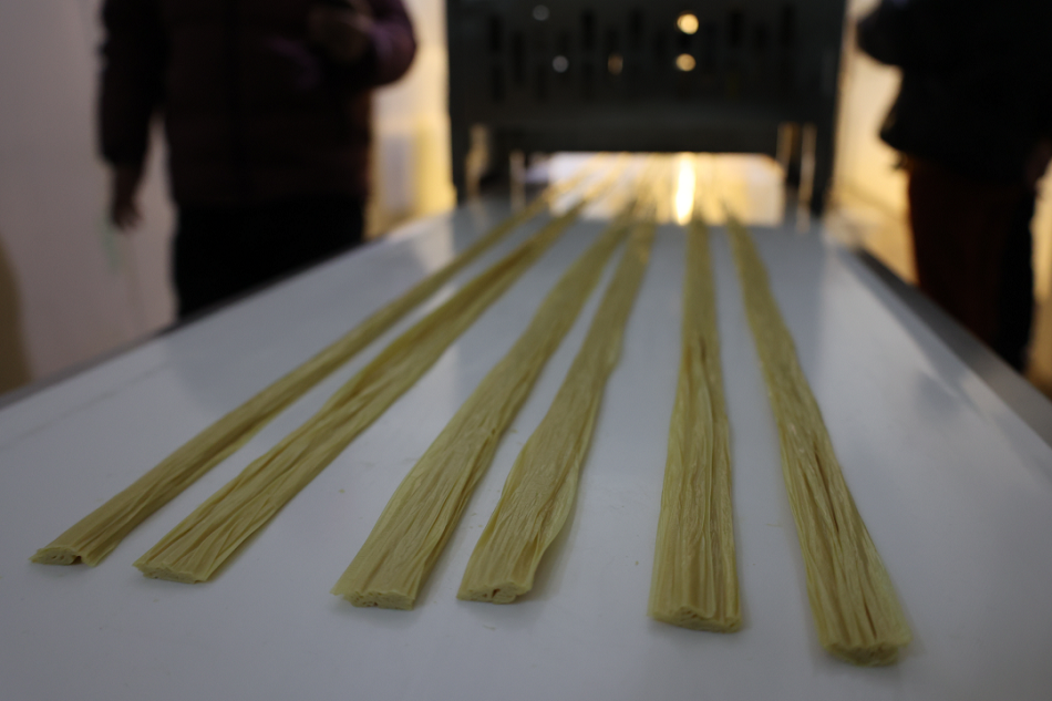 許昌智工腐竹機