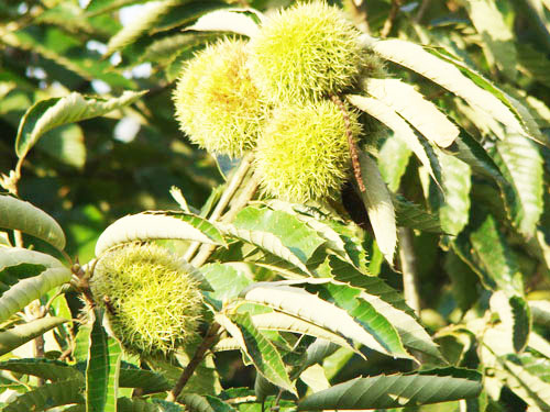 20160412220047_1187889355.jpg 20160412220047_1187889355.jpg